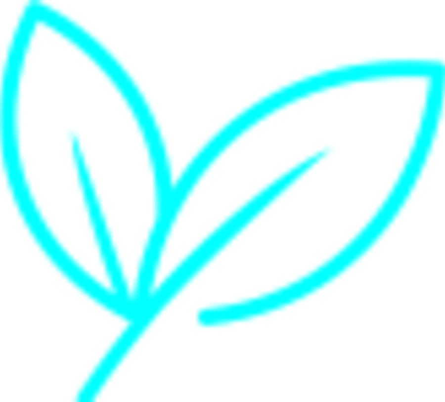 Logo Sustentabilidade e Inovação